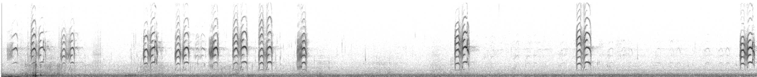 Saunders's Tern - ML641381372