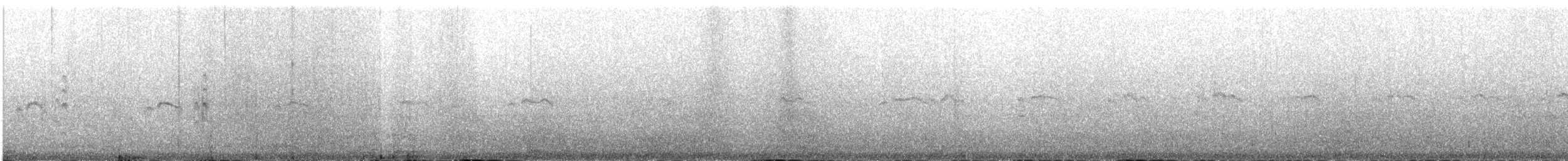 araberdvergterne - ML641381492