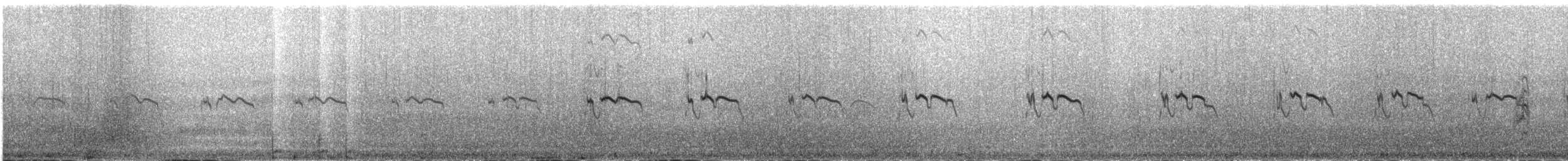 araberdvergterne - ML641381494