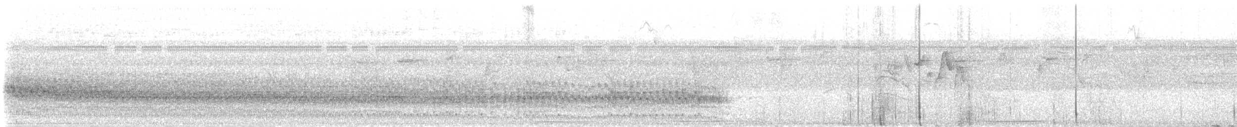 White-throated Crake - ML641383263
