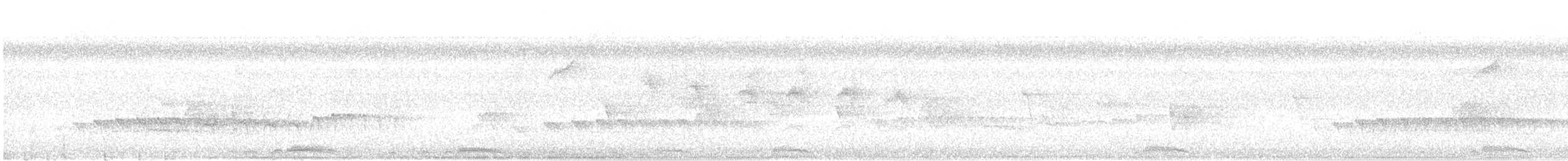 Dusky Antbird - ML641383505