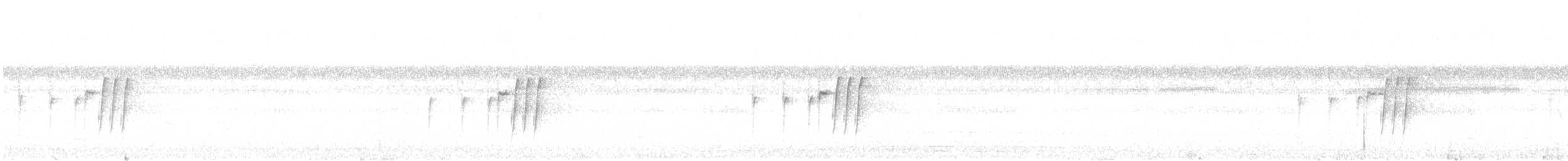 ムジミソサザイ - ML641384135