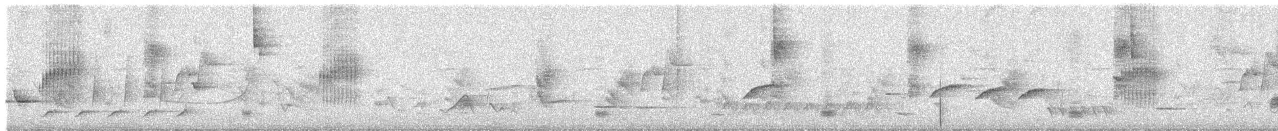 Banded Wren - ML641384975