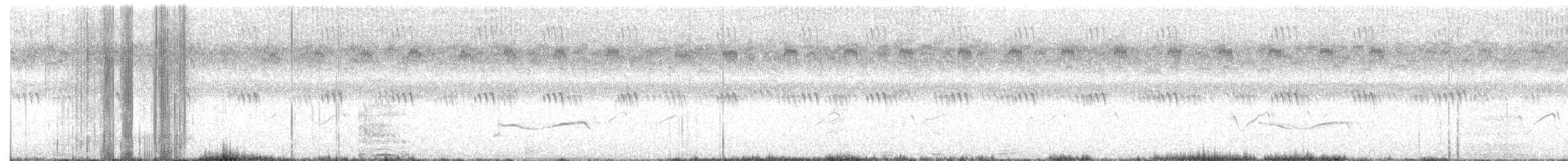 Black-bellied Plover - ML641388940