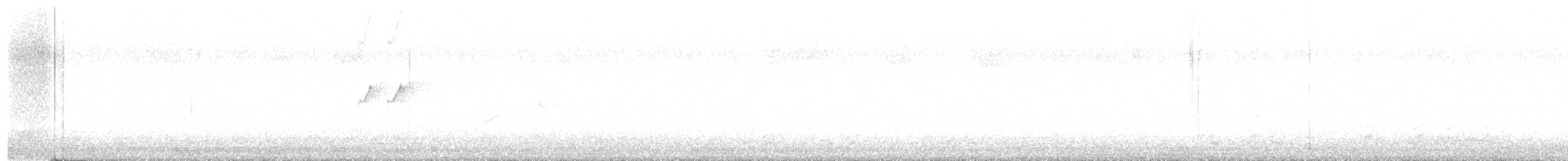 Solitary Sandpiper - ML641389522