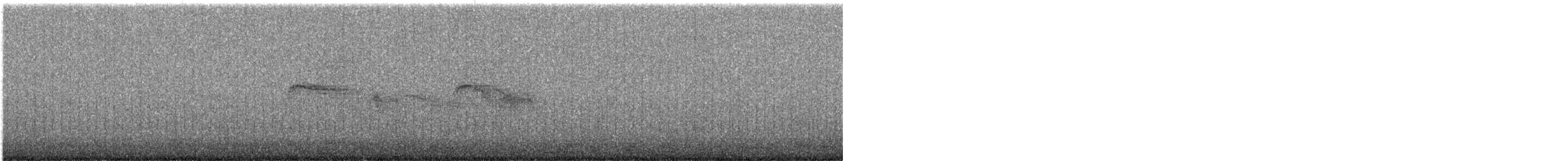 Pallid Swift - ML641400770