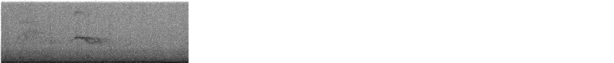 Pallid Swift - ML641400914