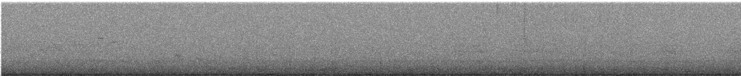 Common Sandpiper - ML641400960