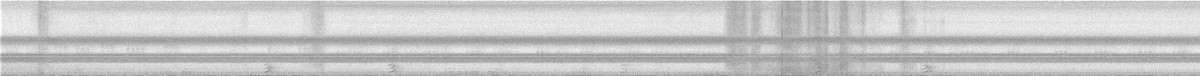 owl sp. - ML641401996