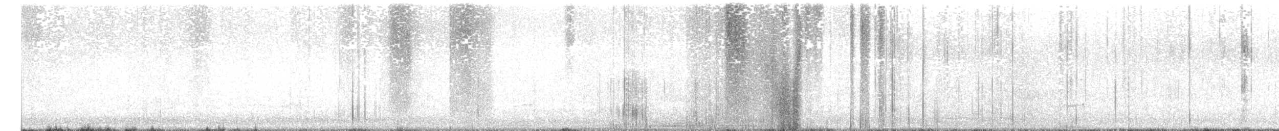 Chorlitejo sp. - ML641402352