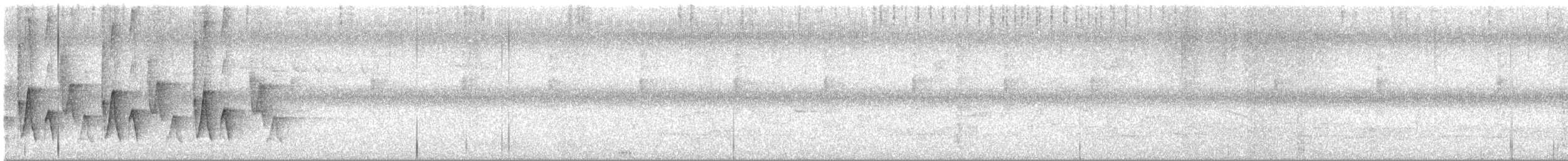 ムジミソサザイ - ML641402875