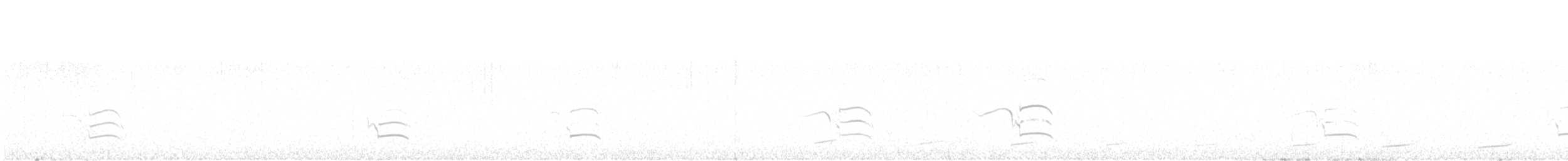Andenbussard - ML641404173