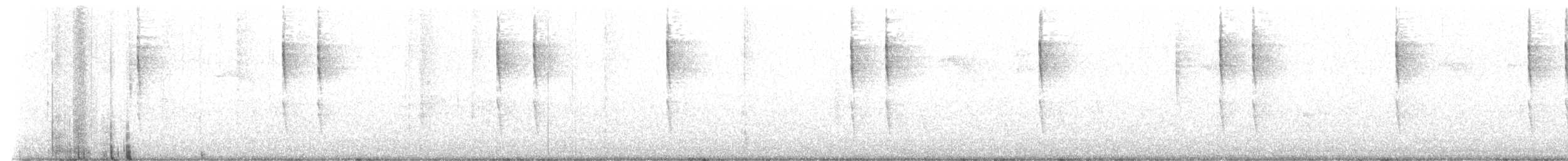 Pacific Wren - ML641404252