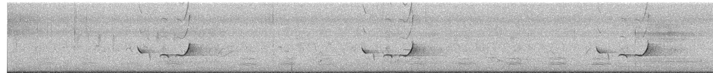 sørkrattskvett - ML641405052