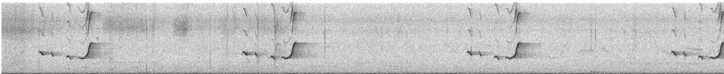 sørkrattskvett - ML641405569