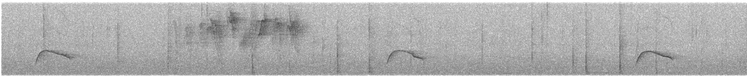 Moucherolle à longs brins - ML641405806