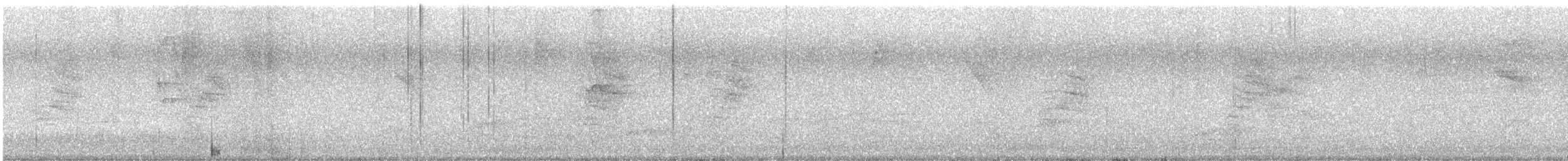 White-browed Gnatcatcher - ML641405990