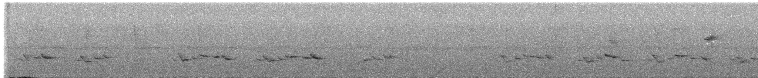 stripebrystsmett - ML641407940