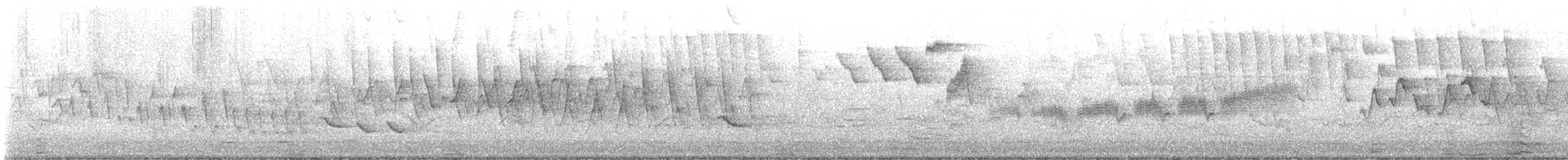 Black-throated Blue Warbler - ML641408538