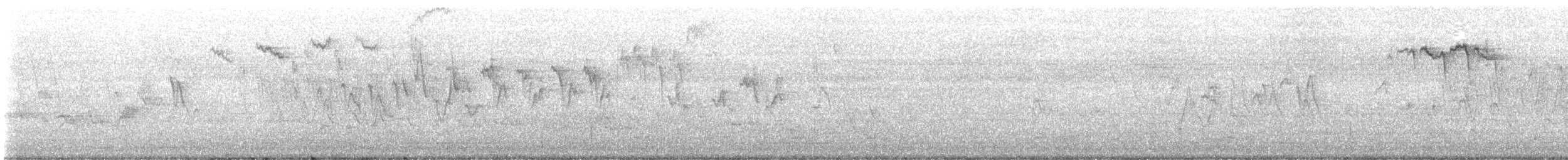 Bay-breasted Warbler - ML641408649