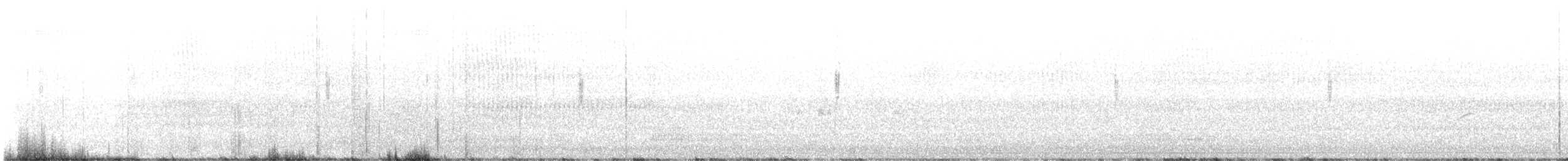 papežík americký - ML641410656