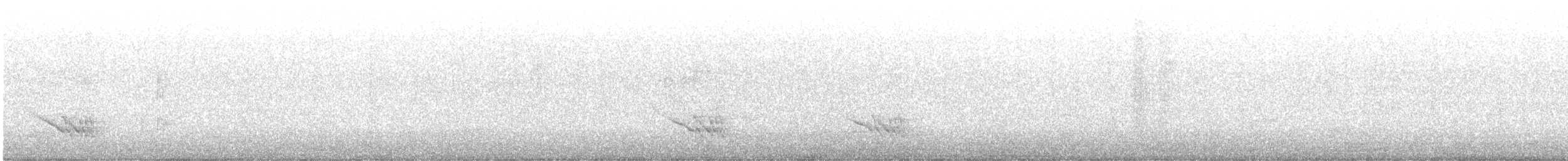 Black-faced Cuckooshrike - ML641411040