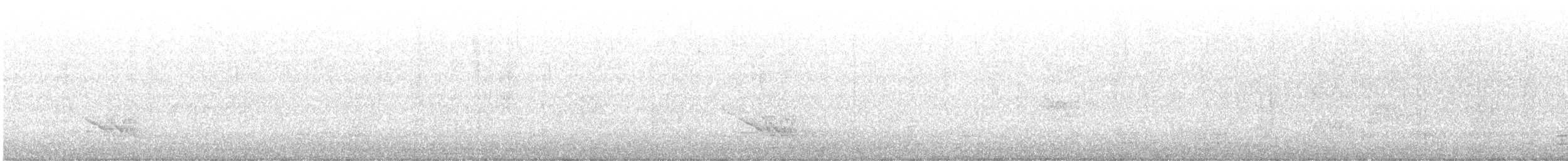 Black-faced Cuckooshrike - ML641411042