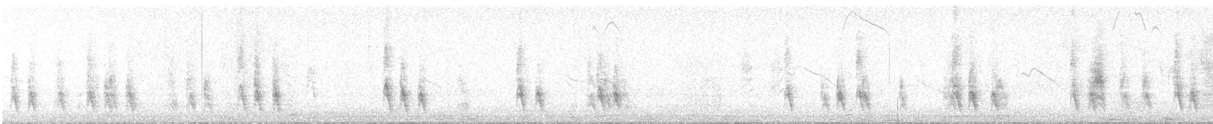 Tropical Mockingbird - ML641411103
