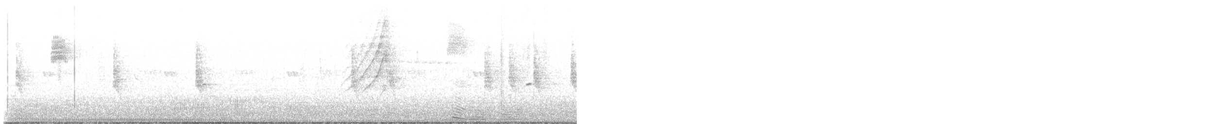 Wood Duck - ML641411200