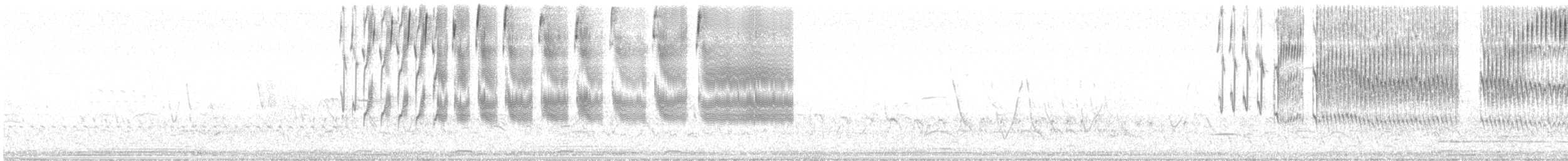 solbukspurv - ML641411745