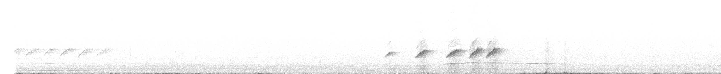 Fiji Shrikebill - ML641417384