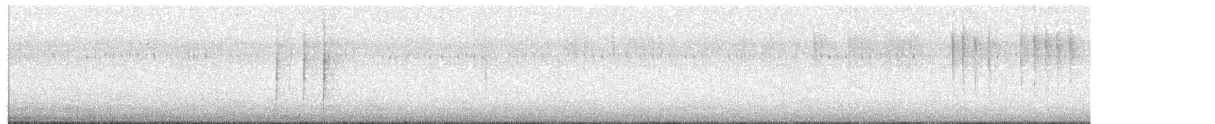 Galeper kaliforniarra - ML641418825