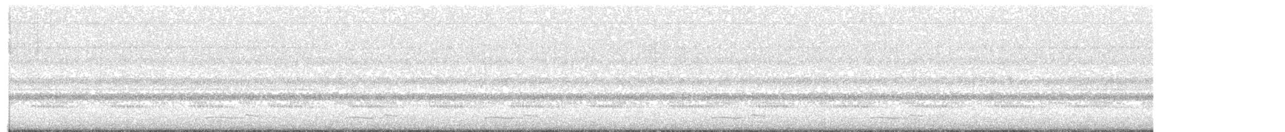 プアーウィルヨタカ - ML641419368