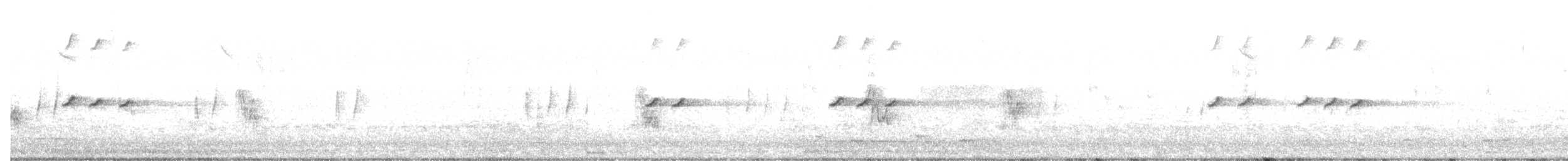 Black-headed Honeyeater - ML641419559