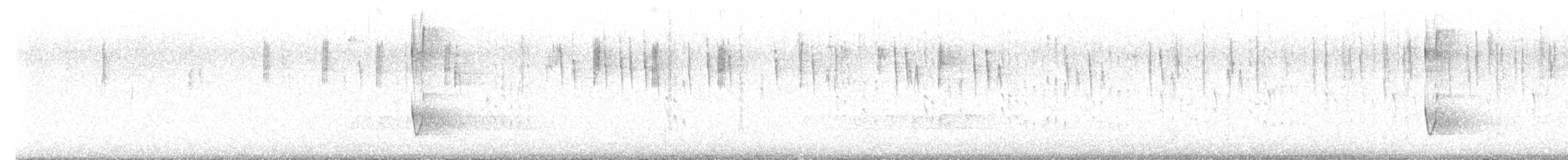 White-browed Scrubwren - ML641419610