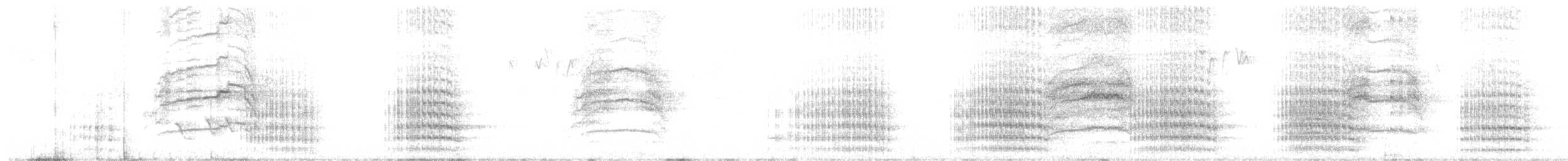 Red-tailed Black-Cockatoo - ML641420099