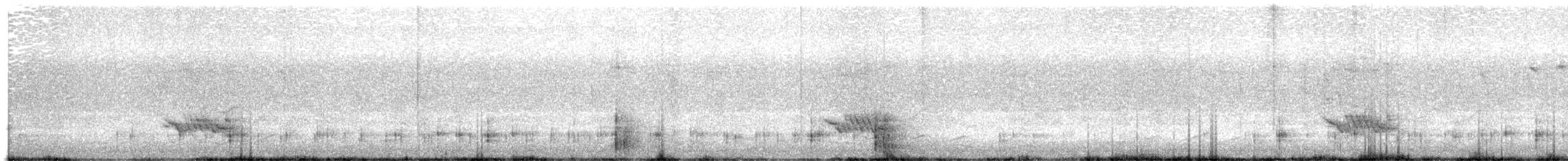 Black-faced Cuckooshrike - ML641420362