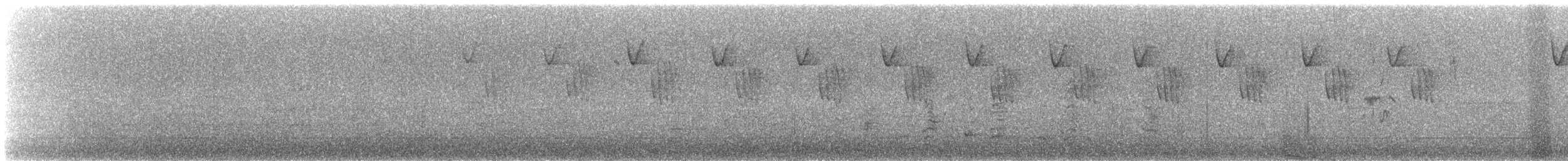 hvitbrynkrattsmett (frontalis gr.) - ML641420881