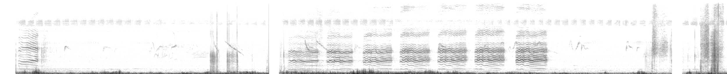 Large Gray Babbler - ML641421890
