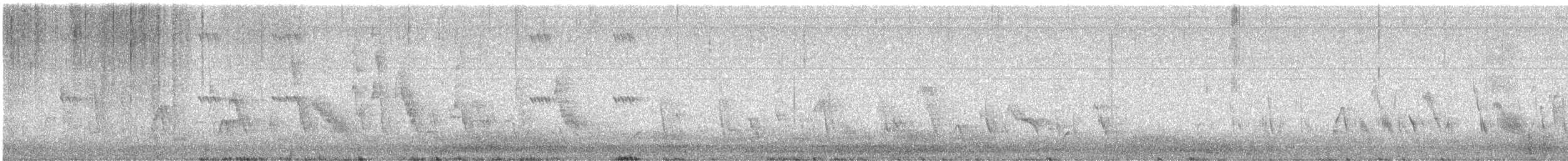 White-browed Sparrow-Weaver - ML641422070