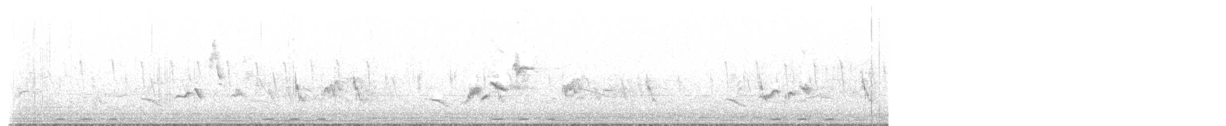 Cape Robin-Chat - ML641422312