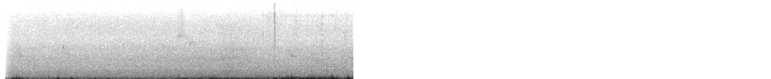 Rock Pigeon (Feral Pigeon) - ML641422347