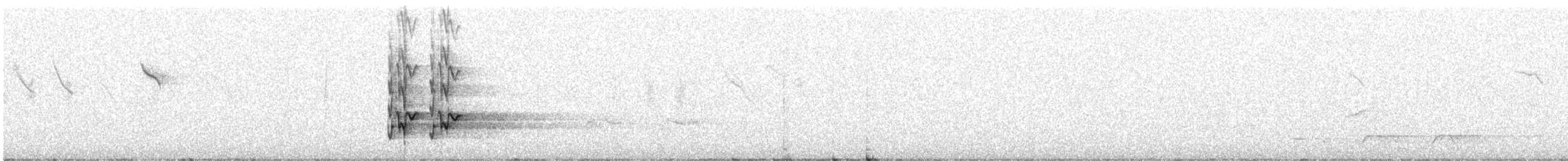 Dumanlı Kurravong (melanoptera) - ML641422892