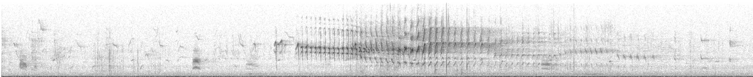 Cape Sugarbird - ML641423911