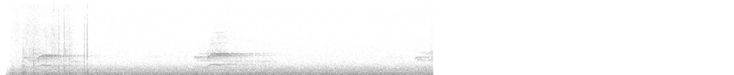 Chouette hulotte - ML641424013