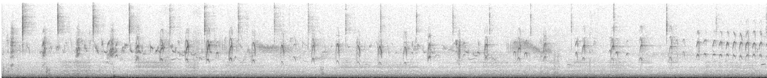 Cape Sugarbird - ML641424216