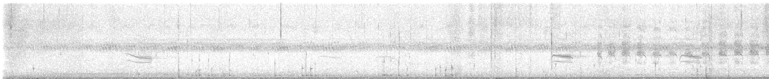 Sterna sp. - ML641426042