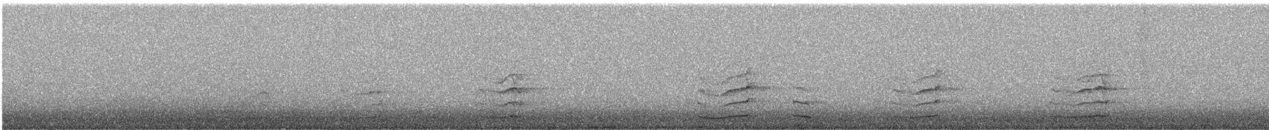 Tawny Owl - ML641426053