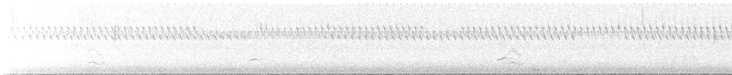 チャバライカル - ML641426248