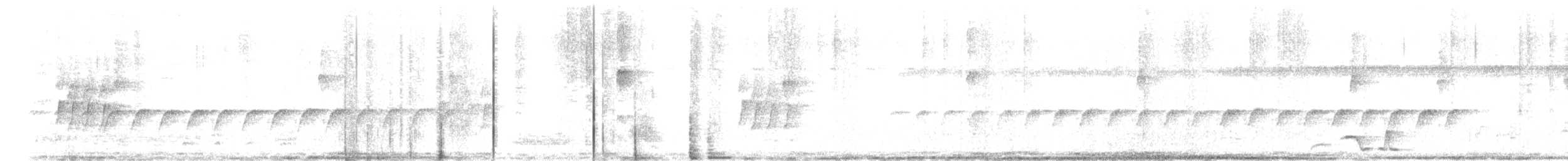 Black-bellied Wren - ML641426285